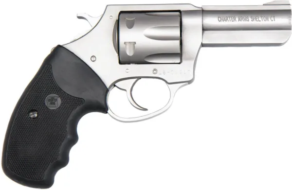 Charter Arms Pit Bull Handgun .380 ACP 6rd Capacity 2.2" Barrel Stainless Steel