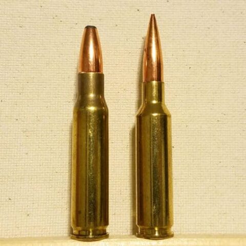 308 Winchester, 6.5 Creedmoor, rifle, tactical shooting